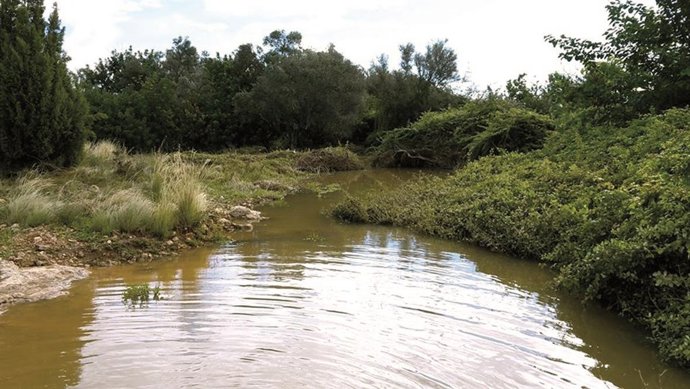 Barranco Agua Cova Mel