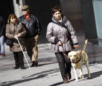 ¿Cuántas personas con discapacidad hay en España?