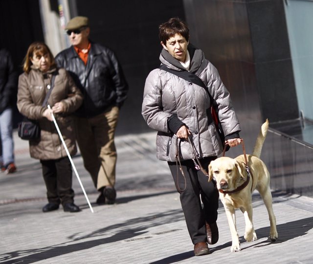 Discapacidad, discapacitado, ciego, personas ciegas con perro guía, lazarillo