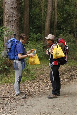 El camino del reciclaje de envases