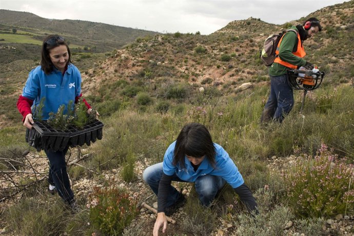 CaixaBank, primer banco del Ibex 35 en eliminar su huella de carbono