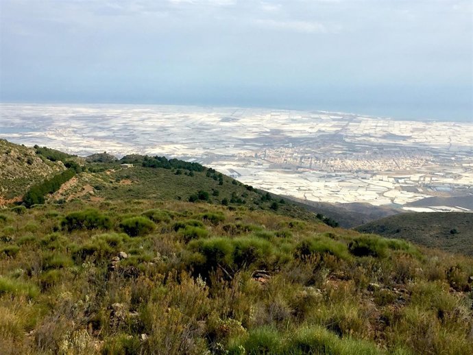 Invernaderos del Poniente almeriense