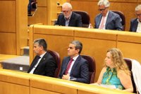 El PP quiere empezar en enero a trabajar sobre la tesis de Pedro Sánchez en el Senado