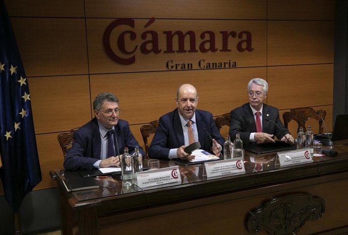 El consejero de Economía de Canarias, Pedro Ortega (en el centro)