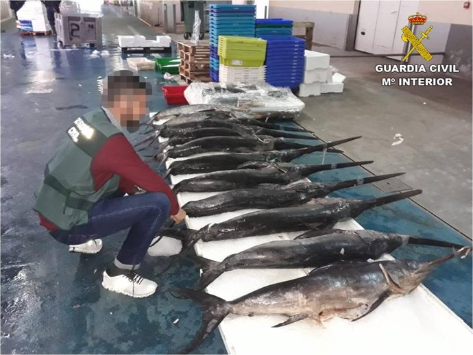 Pescado no apto para el consumo