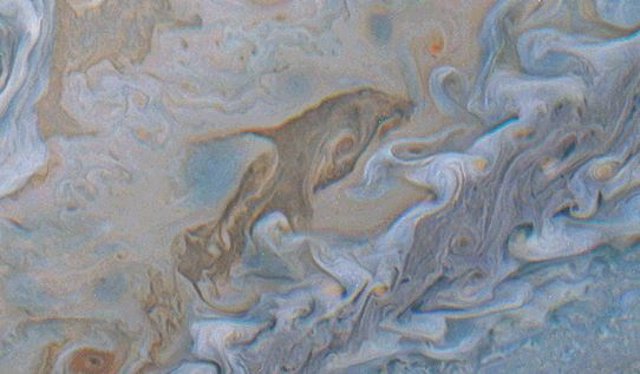 Un delfín entre las nubes de Júpiter