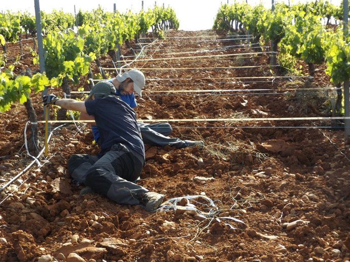 Medición de la erosión