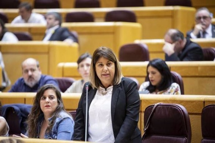 Kontxi Palencia, senadora por Unidos Podemos