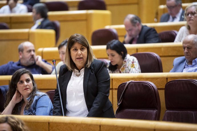 María Concepción Palencia, senadora de Podemos