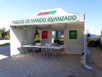 Más de 225 personas buscan a los dos ancianos desaparecidos en Marchena y El Castillo de las Guardas, en Sevilla