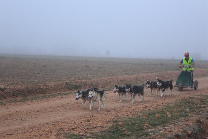 Uno de los participantes en la Travesía con Perros de Tiro