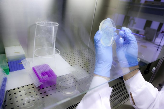 Cabina de seguridad en un laboratorio de microbiología de la UPNA.