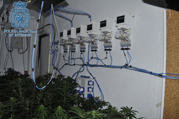 Desmantelado un punto de cultivo de marihuana en San Juan de Aznalfarache
