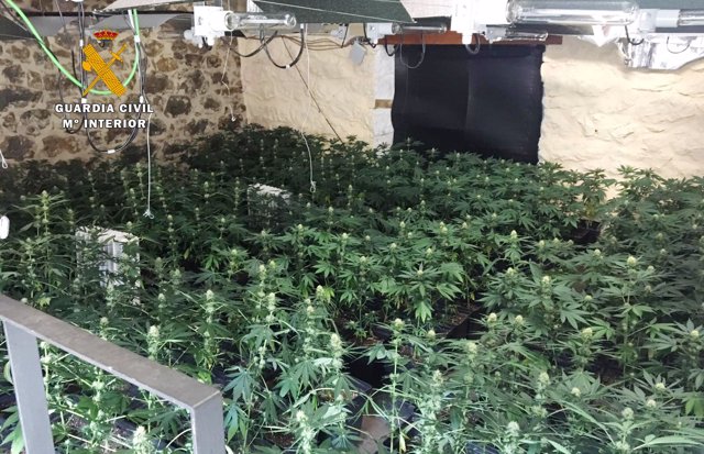 Una de las plantaciones "indoor" de marihuana intervenidas