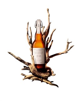 Cerveza madurada con madera de roble y castaño de Damm