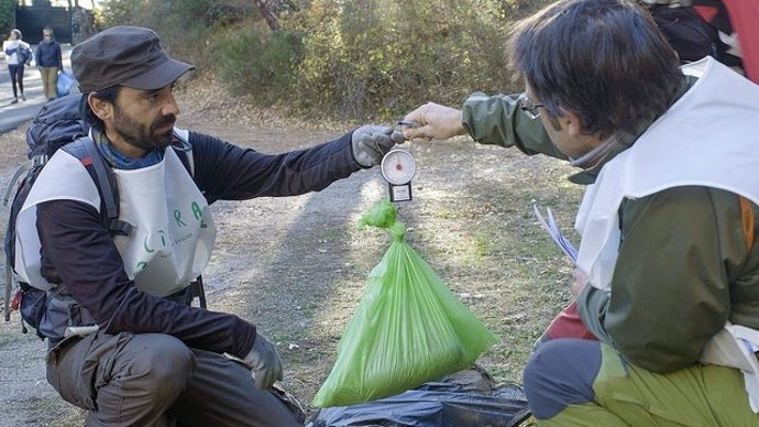 Proyectos de Seobirdlife