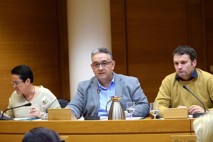 Lluís Miquel Campos interviene en la comisión sobre Crespo Gomar