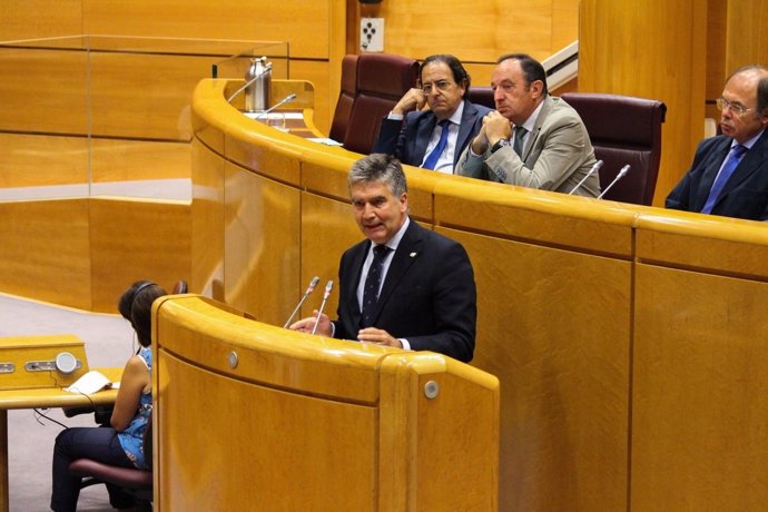 Ignacio Cosidó, portaveu del PP al Senat