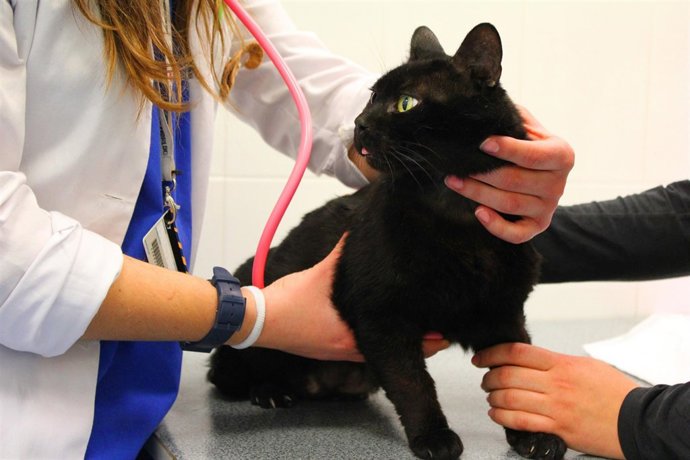 Hospital Clínico del CEU