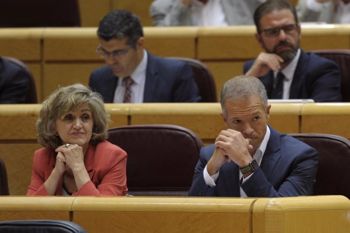 María Luisa Carcedo y Ander Gil en el Pleno del Senado