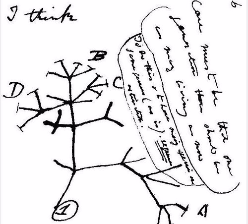 Detalle de una carta de Darwin a Huxley