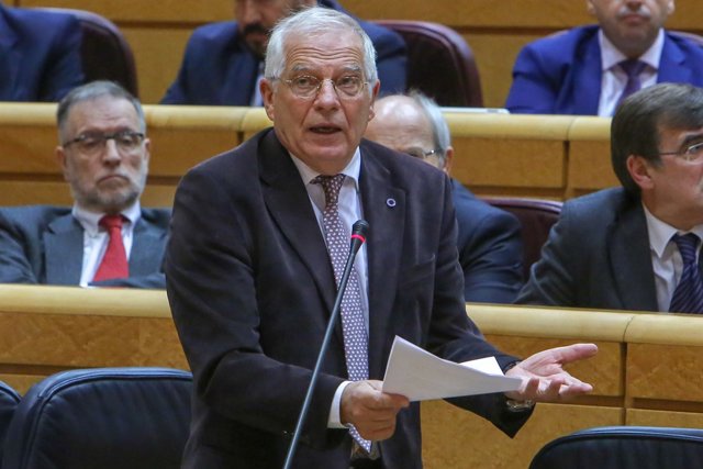 Josep Borrell al Senat