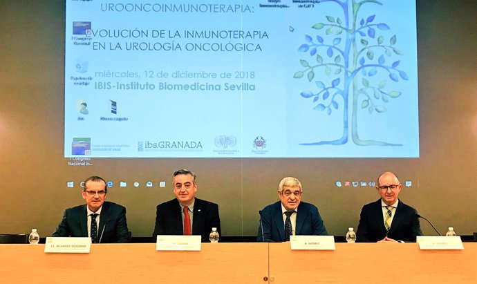 Curso de Urooncoinmunoterapia celebrado en Sevilla