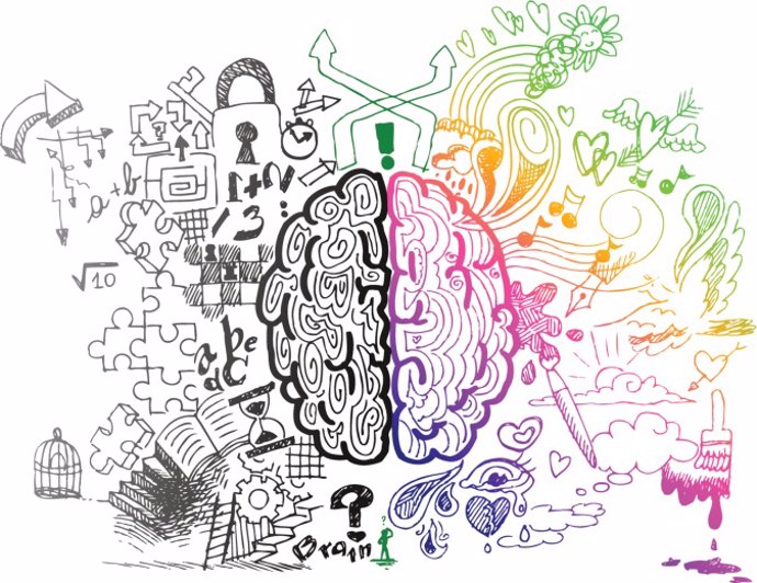 Cerebro, imágenes