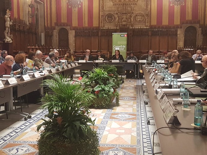 Pleno del Consell de Ciutat de Barcelona con Ada Colau