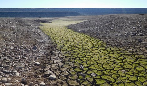 Cambio Climático