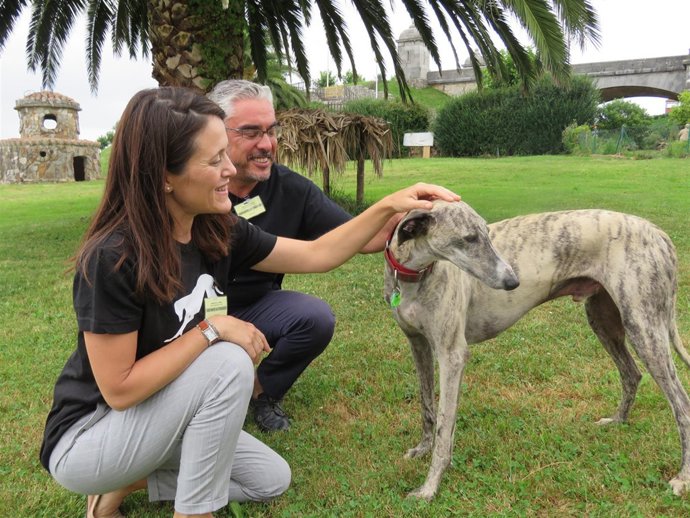 Rapid, primer galgo rehabilitado por presos de El Dueso 