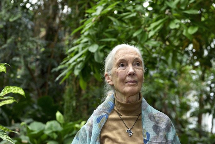La primatóloga Jane Goodall