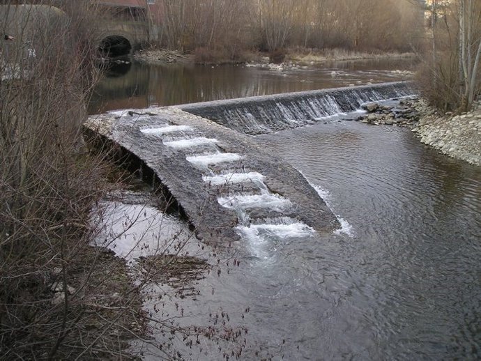 Riu Ter a Ripoll (Girona)