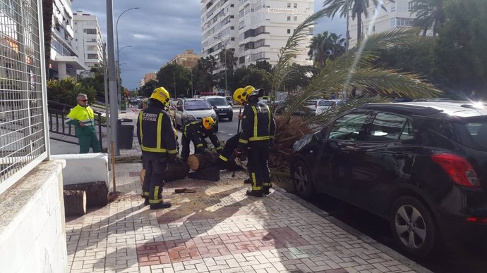 Bomberos de Málaga intervienen por fuerte viento caída palmera golpea a mujer