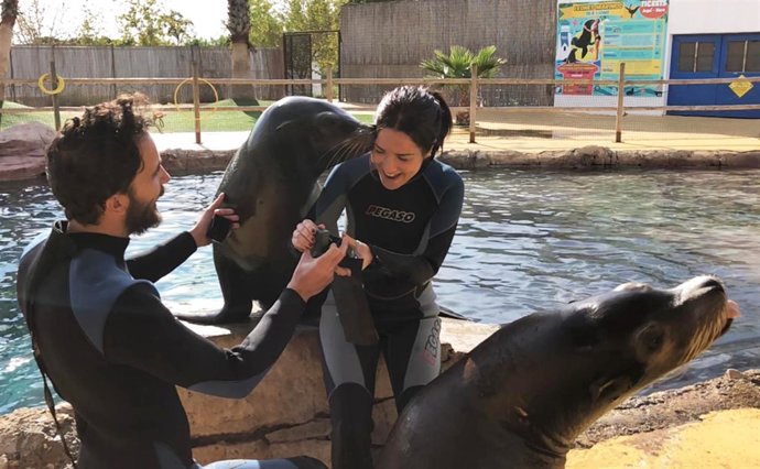 Instantánea de la original pedida en Terra Natura