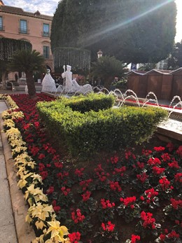 Flores de Pascua en La Glorieta de España