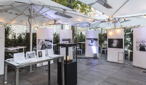 Cooperación y Desarrollo