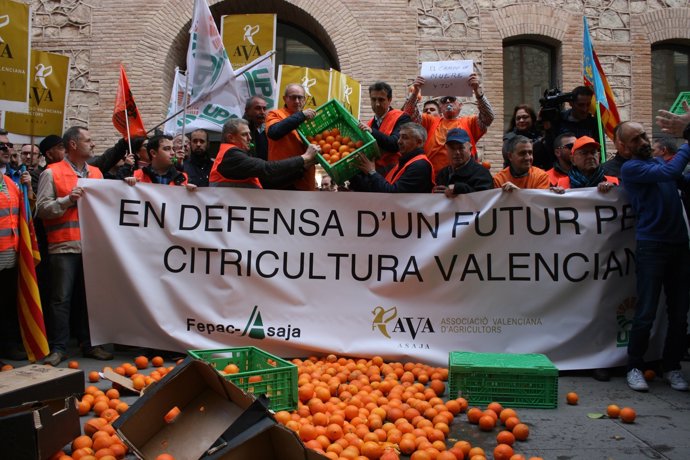 Manifestación citrícola frente a Agricultura