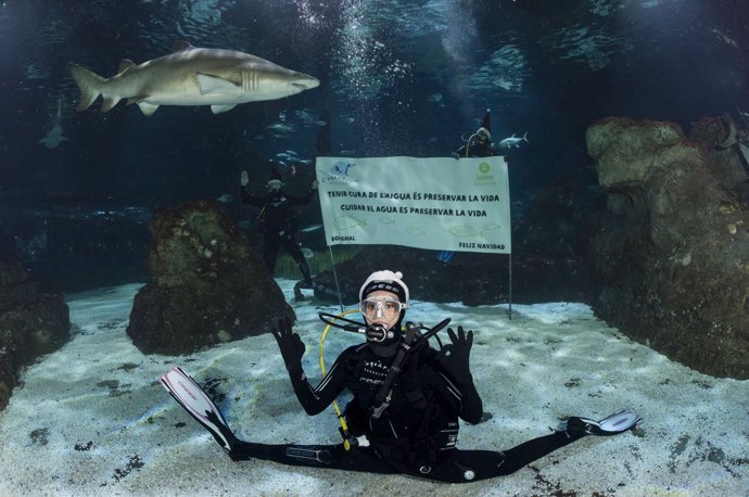 Ona Carbonell, en el Aquàrium de Barcelona