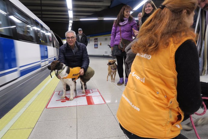 Carlos Izquierdo con un perro en las instalaciones de Metro de Madrid