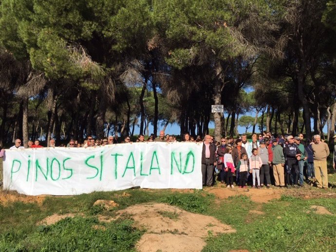 Manifestantes en Alcalá de Guadaíra contra la tala de pinos