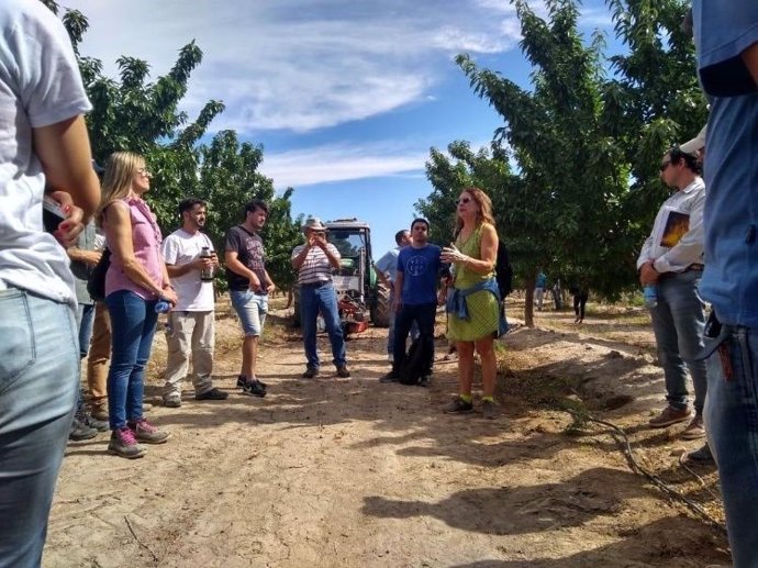 El CITA lleva a Argentina sus variedades de almendro