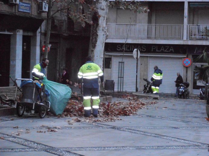 Operarios de Inagra retirando hojas de las plazas de Granada