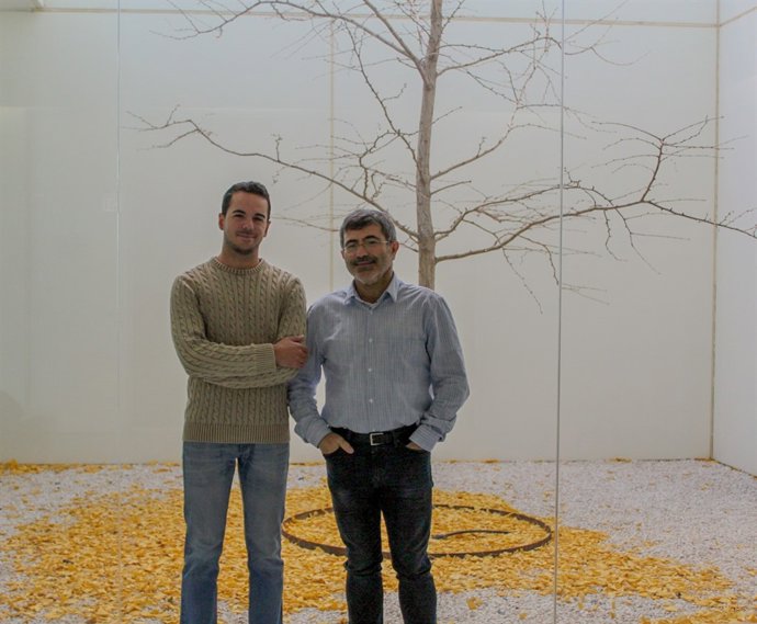 Estudio para evaluar cómo influye la práctica musical en el envejecimiento