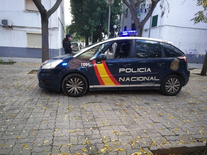 Un coche de la Policía Nacional en Palma