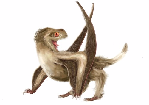 Pterosaurio Daohugou