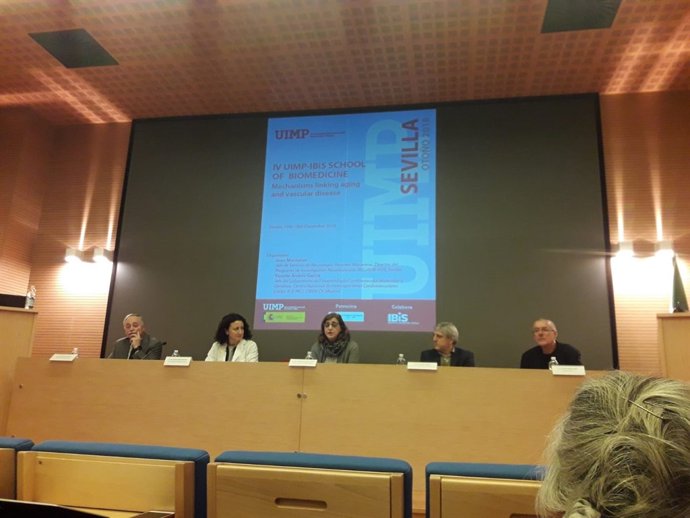 Expertos profundizan en vinculación entre envejecimiento y enfermedad vascular