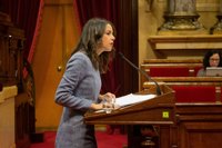 Arrimadas acusa Torra de tapar amb "una gran estelada" els problemes dels nens catalans