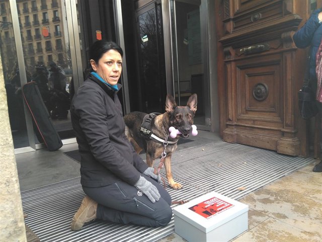 Silvia González entrega 125.000 firmas en el Parlamento foral