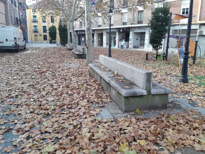 Hojas en la calle Andrés de Laorden. 18-12-18